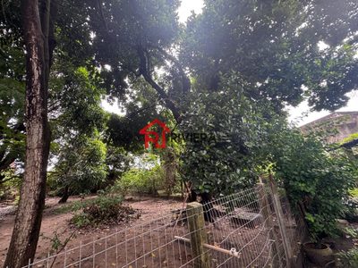 Terreno, 378 hectares - Foto 4