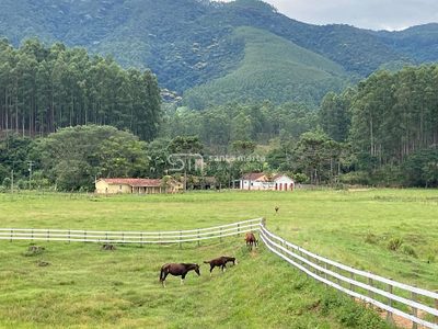 Fazenda, 97 hectares - Foto 3