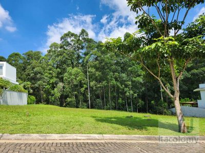 Loteamento e Condomínio, 590 m² - Foto 2