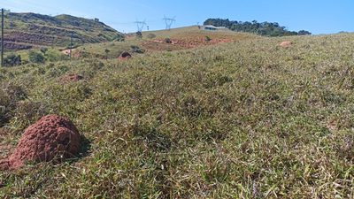 Terreno, 20 m² - Foto 2