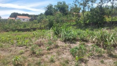 Terreno, 1500 m² - Foto 2