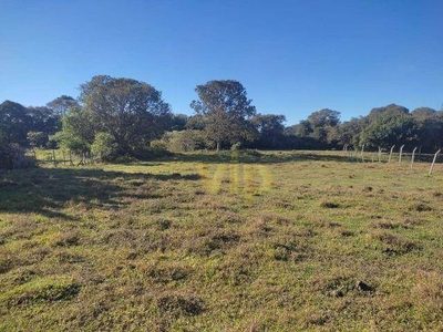 Terreno, 2100 m² - Foto 1