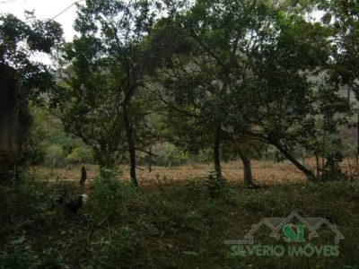 Sítio, 2 quartos, 8 hectares - Foto 4