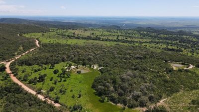 Fazenda, 823 hectares - Foto 3