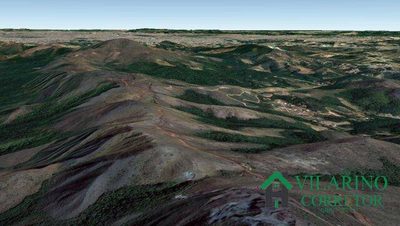 Terreno, 2 hectares - Foto 4