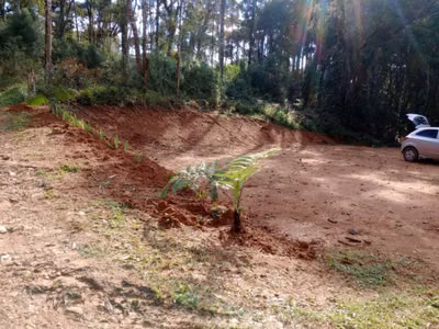 Chácara, 3000 m² - Foto 1