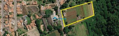 Terreno, 10000 m² - Foto 4