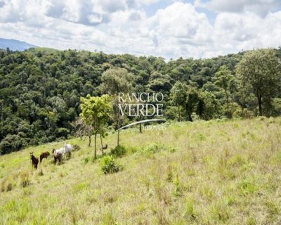 Fazenda, 250 hectares - Foto 3