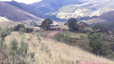 Fazenda, 605 hectares - Foto 3