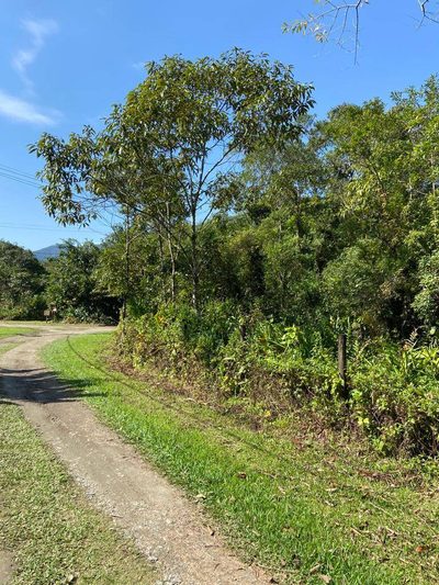 Terreno, 3000 m² - Foto 1