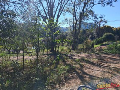 Chácara, 10 hectares - Foto 3