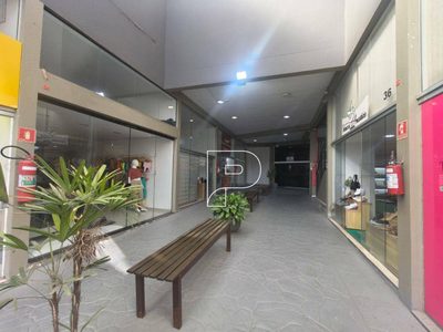 Sala-Conjunto, 30 m² - Foto 4