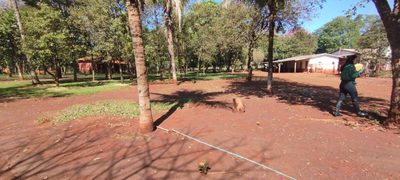 Sítio, 2 quartos, 500 m² - Foto 2