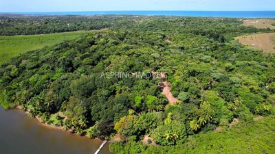 Sítio, 2 hectares - Foto 4