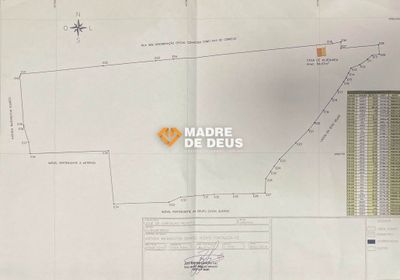 Terreno, 5 hectares - Foto 5