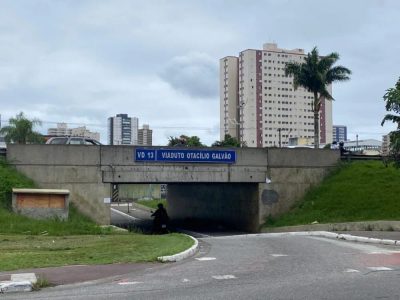 Casa, 4 quartos, 250 m² - Foto 4