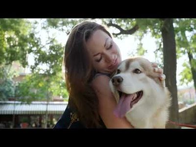 Terreno, 1002 m² - Foto 1