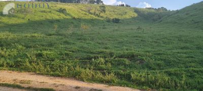 Terreno, 6 hectares - Foto 5