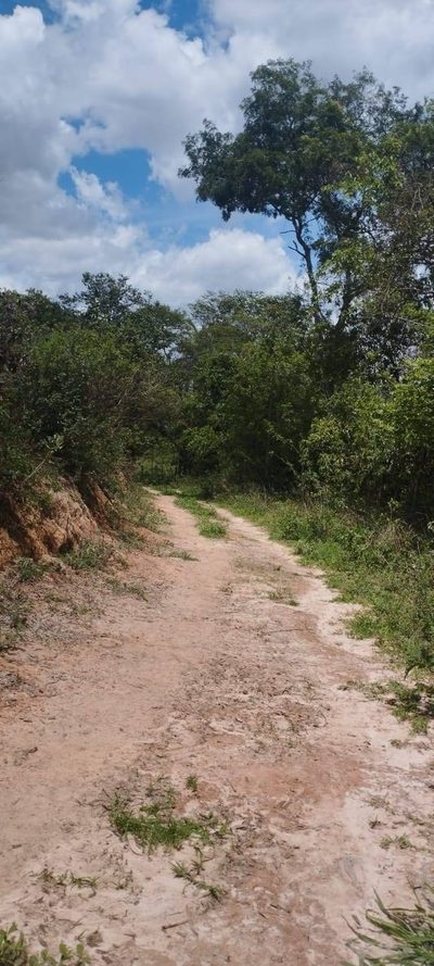 Terreno, 5600 m² - Foto 3