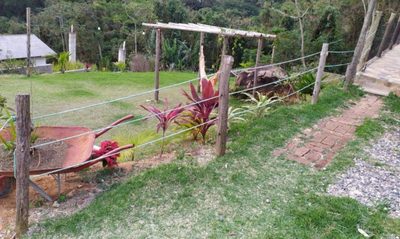 Casa, 7 quartos - Foto 5