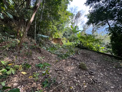 Terreno, 480 m² - Foto 1