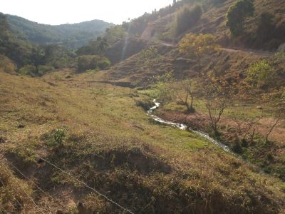 Sítio, 17 hectares - Foto 4