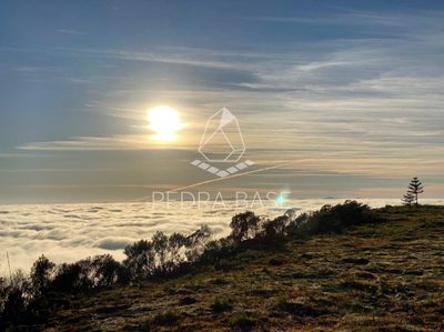 Terreno, 2 hectares - Foto 4