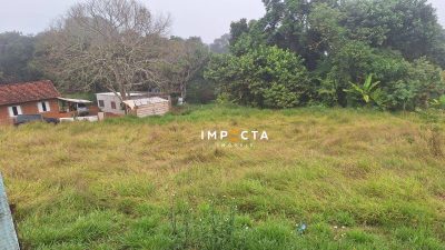 Chácara, 2 quartos, 5000 m² - Foto 2