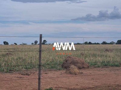 Fazenda, 944 hectares - Foto 1