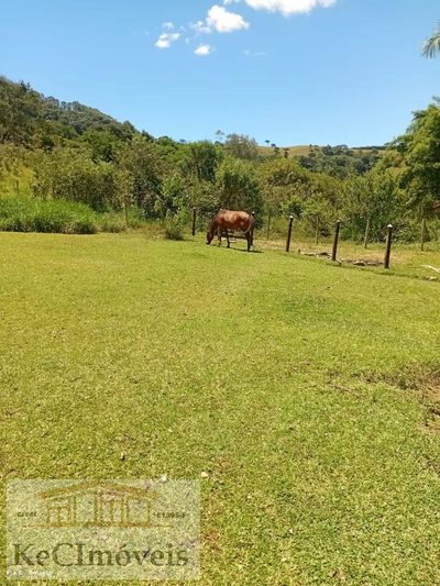 Sítio, 2 quartos, 2 hectares - Foto 3