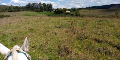 Fazenda, 10000 m² - Foto 2