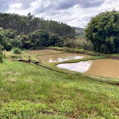 Fazenda, 53 hectares - Foto 1