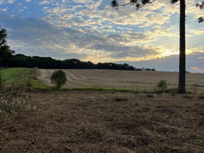 Terreno, 2 hectares - Foto 1