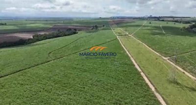 Fazenda, 242 hectares - Foto 2