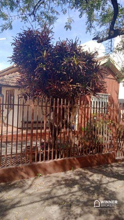 Terreno, 591 m² - Foto 2