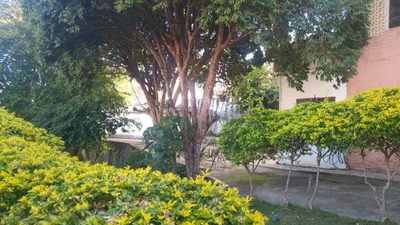 Casa, 3 quartos, 400 m² - Foto 2