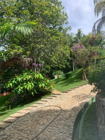 Fazenda, 8 hectares - Foto 3