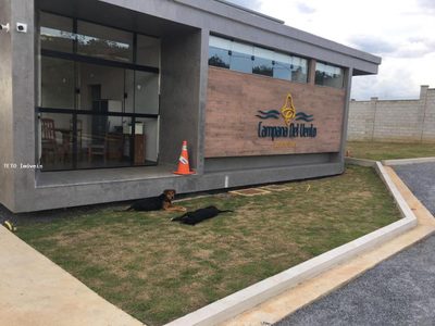 Terreno, 472 m² - Foto 5