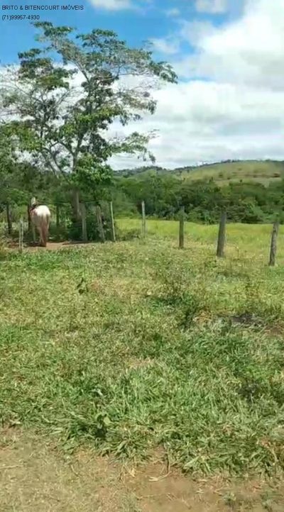 Fazenda, 1 quarto - Foto 5