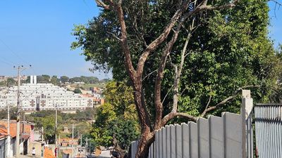 Terreno, 5400 m² - Foto 5