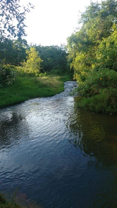 Sítio - Foto 3