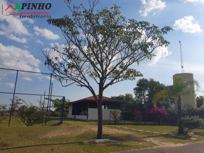 Terreno, 1000 m² - Foto 3