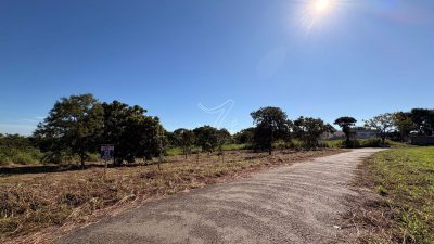 Terreno, 2000 m² - Foto 2