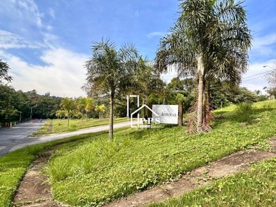 Terreno, 250 m² - Foto 1