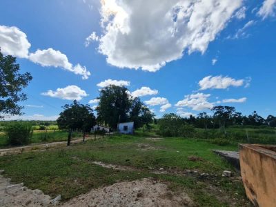 Fazenda - Foto 1