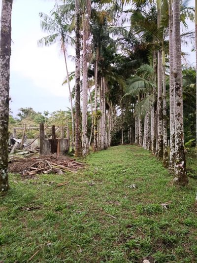 Fazenda, 2 hectares - Foto 2