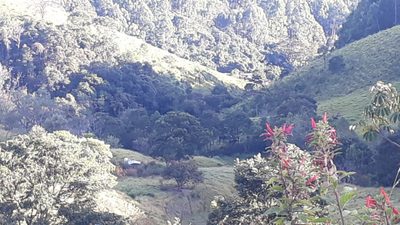 Fazenda, 87 hectares - Foto 4