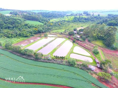 Fazenda, 77 hectares - Foto 3