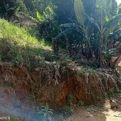 Terreno, 374 m² - Foto 4