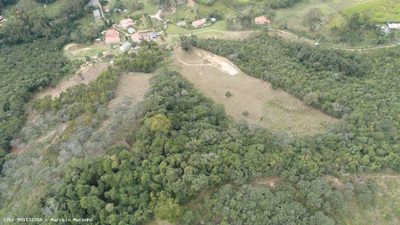 Terreno, 3 hectares - Foto 1